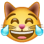 Katteemoji med gledestårer U+1F639