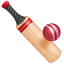 Cricket WhatsApp U+1F3CF