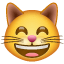 Morsom katteansikt-emoji U+1F638